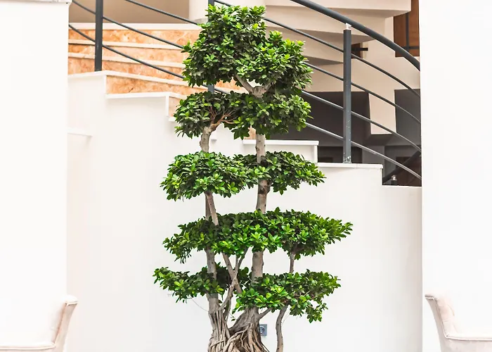 Dalya Aqua & Датча