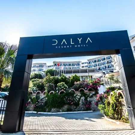 Dalya Aqua & 4* ダッチャ