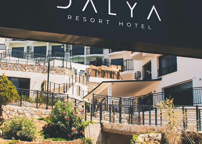 Dalya Aqua &